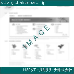 グローバルリサーチ調査資料のイメージ